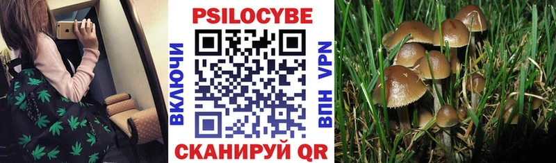 МЕГА как войти  где купить наркотик  Саяногорск  Псилоцибиновые грибы мицелий 